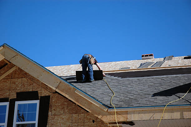 Best Metal Roofing Contractor  in Grain Valley, MO